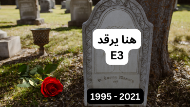 A tombstone showing E3 that was alive from 1995 to 2021