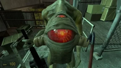 صورة من لعبة هالف لايف