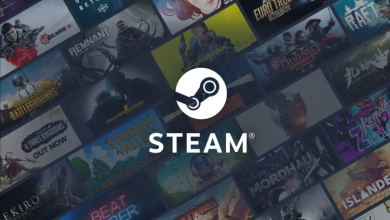 دعوى قضائية ضد شركة فالف