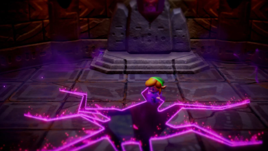 زيلدا ايكوز اوف ويزدوم