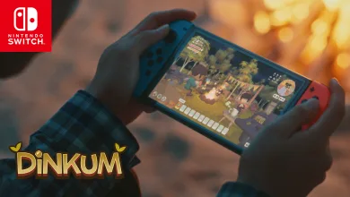 dinkum on switch